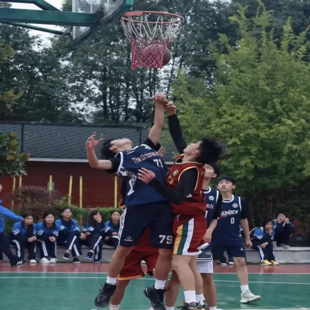 阵容视角深度观察：赛事动态第290组解析